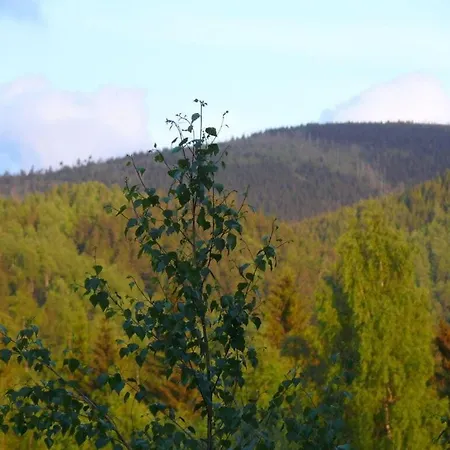 Feriehus Maria Comfortable Holiday
